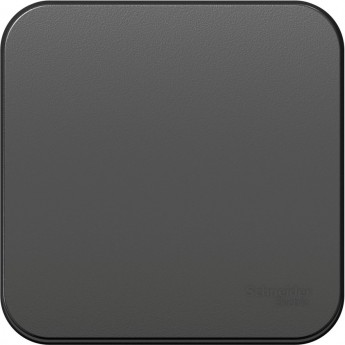 1-клавишный выключатель SCHNEIDER ELECTRIC BLANCA с изолирующей пластиной, 10А, 250B, АНТРАЦИТ