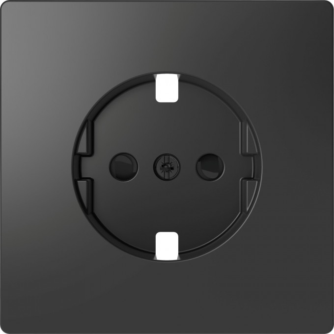 Центральная накладка SCHNEIDER ELECTRIC MERTEN D-LIFE для механизма розетки, АНТРАЦИТ MTN2330-6034 Центральная накладка SCHNEIDER ELECTRIC MERTEN D-LIFE для механизма розетки, АНТРАЦИТ MTN2330-6034