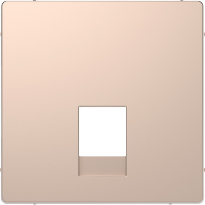 Центральная накладка SCHNEIDER ELECTRIC MERTEN D-LIFE для розетки 2-ной RJ11/RJ12, ШАМПАНЬ MTN4215-6051 Центральная накладка SCHNEIDER ELECTRIC MERTEN D-LIFE для розетки 2-ной RJ11/RJ12, ШАМПАНЬ MTN4215-6051