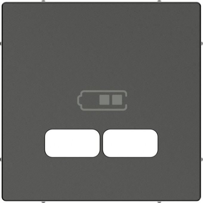 Центральная накладка SCHNEIDER ELECTRIC MERTEN для USB механизма 2,1А, АНТРАЦИТ, SM MTN4367-0414 Центральная накладка SCHNEIDER ELECTRIC MERTEN для USB механизма 2,1А, АНТРАЦИТ, SM MTN4367-0414