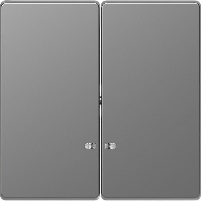 Клавиша двойная MERTEN D-LIFE с линзой для LED модуля, НЕРЖ. СТАЛЬ MTN3420-6036 Клавиша двойная MERTEN D-LIFE с линзой для LED модуля, НЕРЖ. СТАЛЬ MTN3420-6036