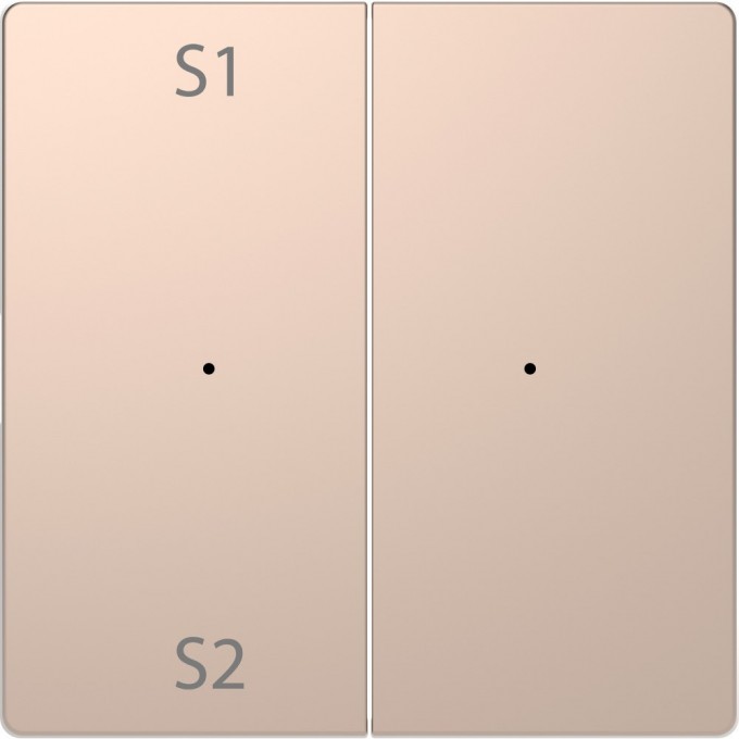 Клавиша двойная с символами MERTEN D-LIFE PLUSLINK с S1/S2, пусто, ШАМПАНЬ, SD MTN5226-6051 Клавиша двойная с символами MERTEN D-LIFE PLUSLINK с S1/S2, пусто, ШАМПАНЬ, SD MTN5226-6051