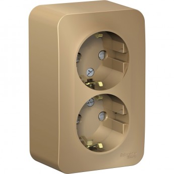 Розетка двойная SCHNEIDER ELECTRIC BLANCA с заземлением, со шторками, с изолирующей пластиной, 16А, 250В, титан