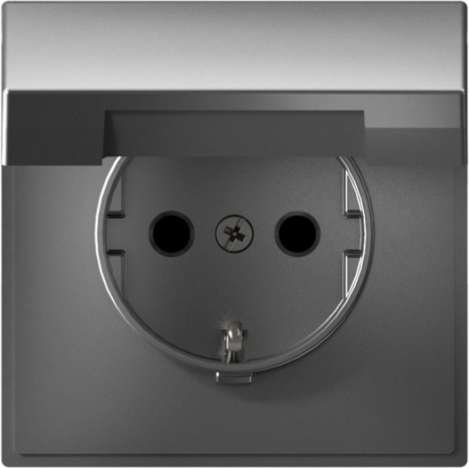 Розетка SCHNEIDER ELECTRIC ARTGALLERY 16А IP20 с заземлением, шторки, с крышкой, механизм, сталь GAL000946 Розетка SCHNEIDER ELECTRIC ARTGALLERY 16А IP20 с заземлением, шторки, с крышкой, механизм, сталь GAL000946