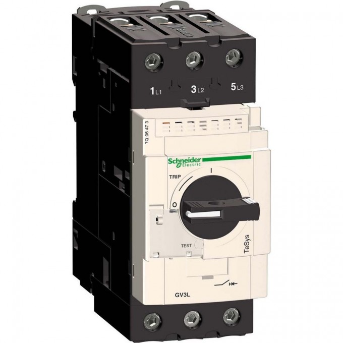 Автоматический выключатель с магнитным расцепителем SCHNEIDER ELECTRIC TESYS 50А (винтовой зажим) GV3L50 Автоматический выключатель с магнитным расцепителем SCHNEIDER ELECTRIC TESYS 50А (винтовой зажим) GV3L50