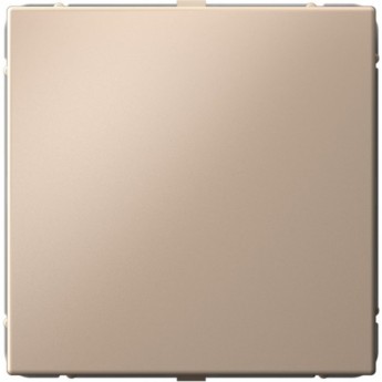 Заглушка SCHNEIDER ELECTRIC ARTGALLERY SE GAL001209 без суппорта для многопостовых рамок, песочный